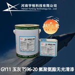 GY11玉灰TS96-20氟聚氨酯無光清漆陸海空天特種涂料專賣