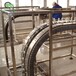 重慶夾持提升機,連續(xù)輸送,廠家供應(yīng)