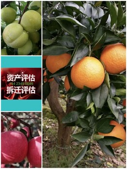 黃石森林資源價格評估方式