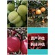 黃石果園價格評估標準流程產品圖