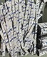 門頭溝批發(fā)3m雙面橡膠條廠家產(chǎn)品圖