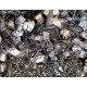 威海废铑水回收多少钱一公斤产品图