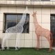 天津长颈鹿雕塑图