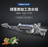 宣城中央廚房蔬菜凈菜加工流水線廠家