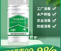 重庆现货速发六鹤二氧化氯消毒片规格