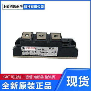 可控硅模塊整流橋模塊IGBT模塊PWB130A40	SanRex