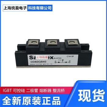 可控硅模块整流桥模块IGBT模块PK110FG80	SanRex