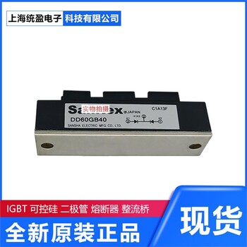 可控硅模塊整流橋模塊IGBT模塊PD55FG80	SanRex