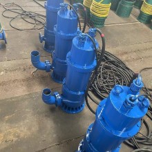 惠州WQB隔爆型潜污水电泵报价图片