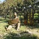 天津讀書人物雕塑圖