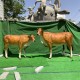 玻璃钢牛雕塑，彩绘牛雕塑产品图