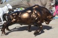 曲阳写实玻璃钢牛雕塑，动物牛雕塑定制