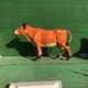 戶外玻璃鋼牛雕塑圖