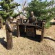 讀書人物雕塑大全圖