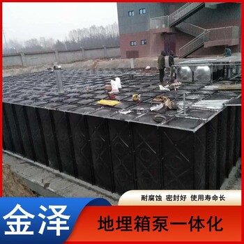 臨夏BDF組合式地埋箱泵一體化生產(chǎn)廠家