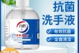北京生产六鹤抗菌洗手液规格