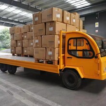 河南3噸利凱士得新能源電動(dòng)平板搬運(yùn)車(chē)電動(dòng)搬運(yùn)車(chē)圖片