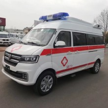 湖北润年汽车销售有限公司-批发-大通G10救护车图片