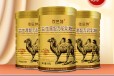 益出菌配方驼奶粉加盟骆驼奶oem贴牌工厂