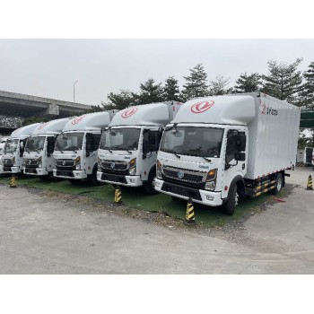 广州南沙新能源长续航凯普特价格厢式货车