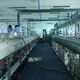 鹽田電鍍廠生產(chǎn)線設備回收,回收鍍硬鉻電源鍍銀電鍍設備展示圖