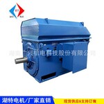 石化行業(yè)用高壓電機YKK5003-4/710KW/10000V