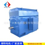 廠家直銷高壓電機Y5602-4/1800KW/6000V高壓同步電機