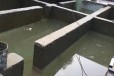 宁明县环氧树脂防水补漏厂家
