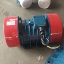 篩網(wǎng)面積可定做宏達(dá)振動電機(jī)廠家2級4級6級電機(jī)型號大全送貨