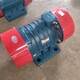 渭南振打電動機圖