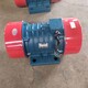 振打電動機(jī)圖