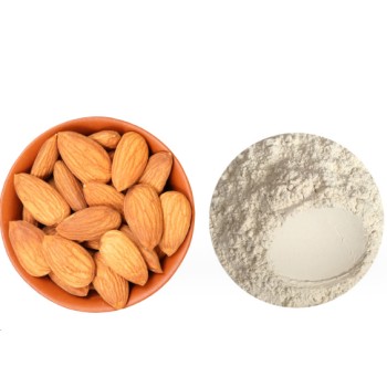 石家庄供应杏仁蛋白粉60%多少钱一克