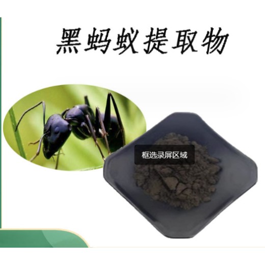 上海黑蚂蚁肽供应商