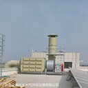 遼寧沈陽實驗室廢氣治理設(shè)備橡膠廢氣處理設(shè)備多種配置