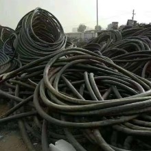 济南废旧电缆回收低压信息详情图片