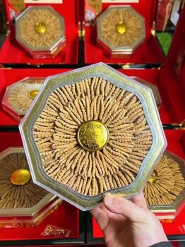 貴州六盤(pán)水禮品蟲(chóng)草回收店家電話(huà)冬蟲(chóng)夏草回收禮品蟲(chóng)草收購