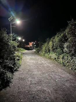 德陽戶外路燈廠家,戶外公路道路燈造型定制