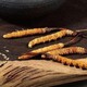 禮品蟲草回收公司圖