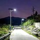 太陽(yáng)能路燈廠家圖