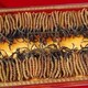 禮品蟲草回收圖