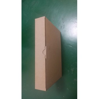 东莞大领山包装材料4g纸箱