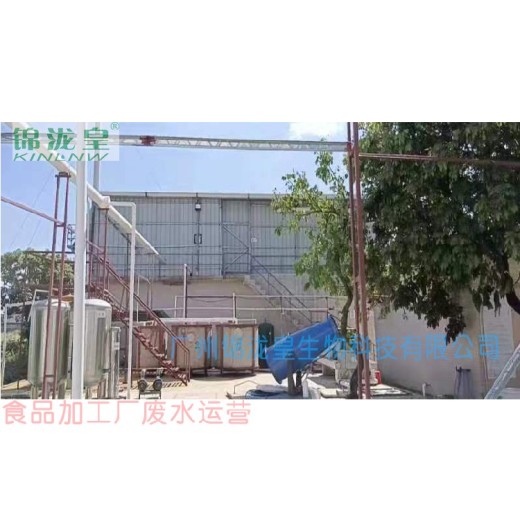 广州食品厂废水运营方案