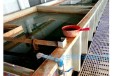 珠海电镀工业园废水运营方案