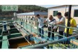 茂名城市污水厂废水运营环节、流程与优化策略