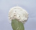 新疆白色微生物蛋白粉饲料添加剂微生物蛋白粉饲料添加剂