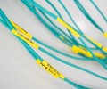 长宁汽车线束不干胶标签线缆标签彩色网线电缆标签