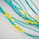 苏州线缆缠绕标签线缆标签P字型光缆不干胶标签图