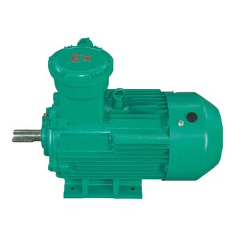 長(zhǎng)風(fēng)廠家批發(fā)三相異步電動(dòng)機(jī)臥式380V50HZ隔爆電機(jī)氣動(dòng)卷?yè)P(yáng)機(jī)