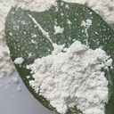 福建白色微生物蛋白粉多少錢