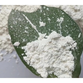 新疆微生物蛋白粉市场价